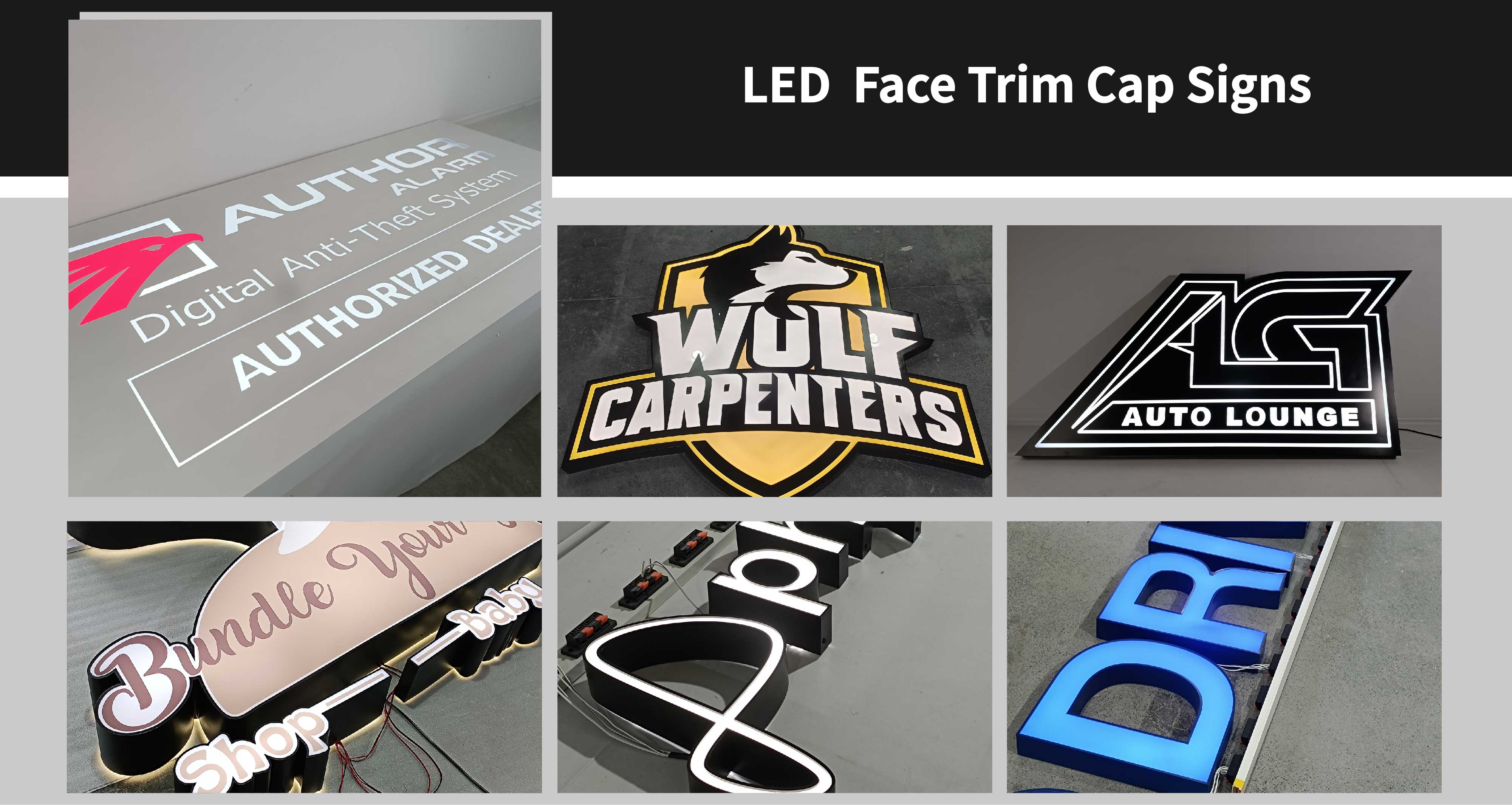 1.1.3.1.1.6前照围边立体字标识LED Face Trim Cap Signs_画板 1.jpg